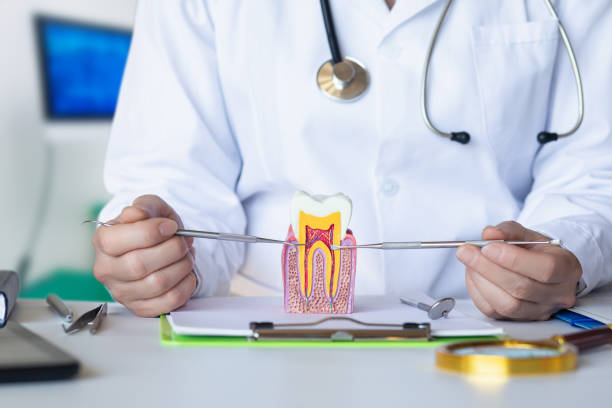 Best Broken or Chipped Tooth Repair in Glen Raven, NC